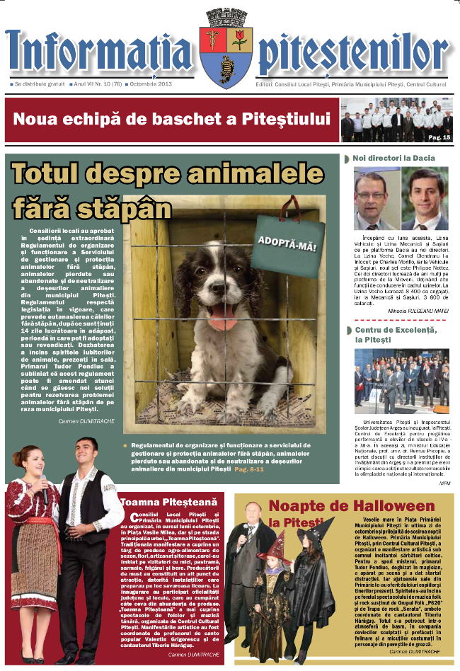 informatia10-2013